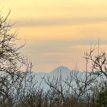 Le Ptit Nid Aux Gouttes