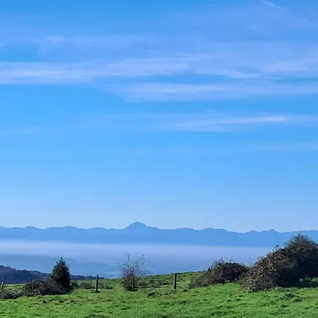 Le Ptit Nid Aux Gouttes